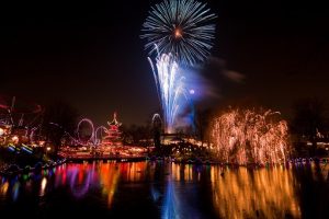 tips huisdieren beschermen vuurwerk