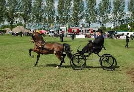 weekendtips mei dag aangespannen paard