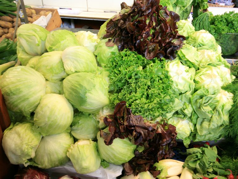 Salades slasoorten, groene salades en bladgroente