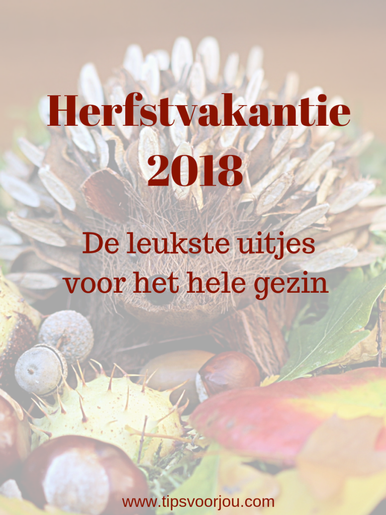 Herfstvakantie 2018 de leukste uitjes voor het hele gezin