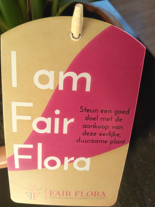 Meer groen met Fair Flora eerlijke bloemen en planten 5