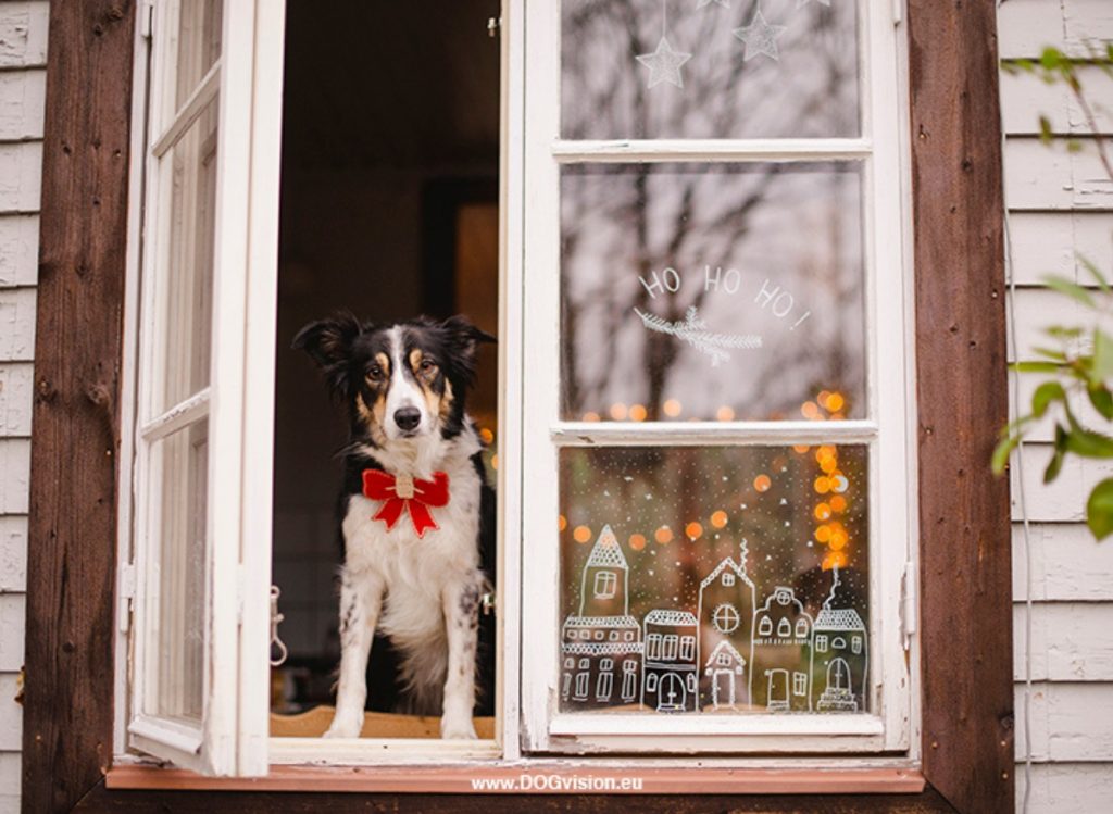 Carnaval vieren met je vriendengroep doe je zo Mannenupdate.nl