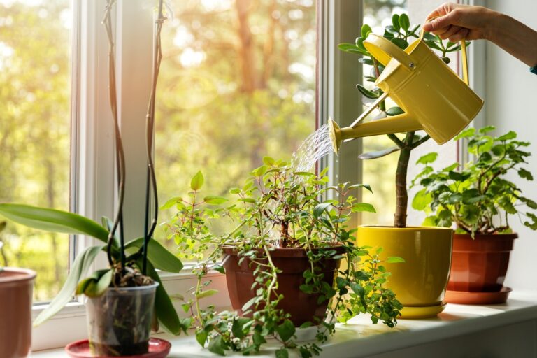 Tips en trucs voor gezonde planten: 15 natuurlijke oplossingen